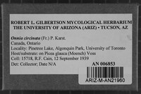 Image Associated With the Occurrence