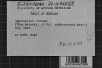 Image Associated With the Occurrence