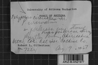 Image Associated With the Occurrence