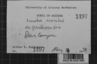 Image Associated With the Occurrence