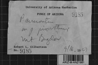 Image Associated With the Occurrence