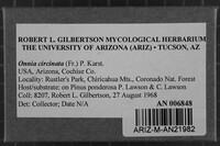 Image Associated With the Occurrence