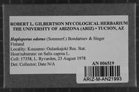 Image Associated With the Occurrence