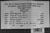 Image Associated With the Occurrence