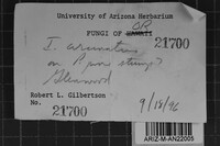 Image Associated With the Occurrence