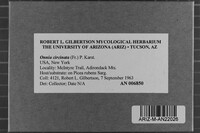 Image Associated With the Occurrence