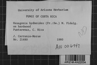 Image Associated With the Occurrence