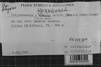 Image Associated With the Occurrence