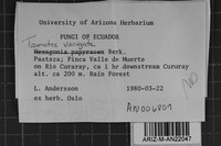 Image Associated With the Occurrence