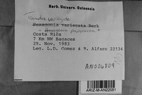 Image Associated With the Occurrence