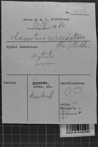 Image Associated With the Occurrence