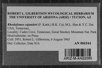Image Associated With the Occurrence