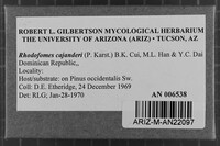 Image Associated With the Occurrence