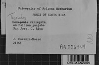 Image Associated With the Occurrence