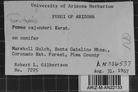 Image Associated With the Occurrence