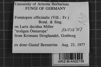 Image Associated With the Occurrence
