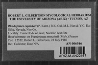 Image Associated With the Occurrence