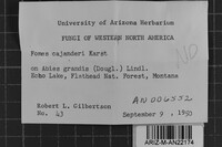 Image Associated With the Occurrence