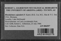 Image Associated With the Occurrence