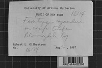 Image Associated With the Occurrence