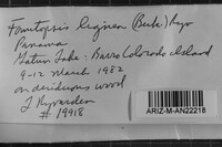 Image Associated With the Occurrence