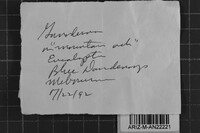 Image Associated With the Occurrence