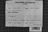Image Associated With the Occurrence