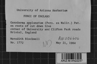 Image Associated With the Occurrence