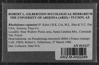 Image Associated With the Occurrence