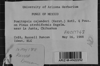 Image Associated With the Occurrence