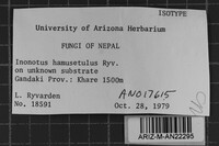 Image Associated With the Occurrence