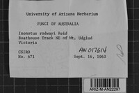 Image Associated With the Occurrence