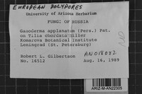 Image Associated With the Occurrence