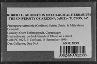 Image Associated With the Occurrence