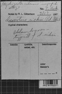 Inonotus rickii image