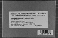 Image Associated With the Occurrence