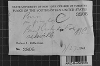 Image Associated With the Occurrence