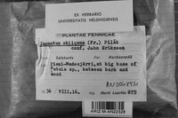 Image Associated With the Occurrence