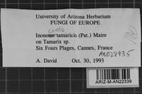 Image Associated With the Occurrence