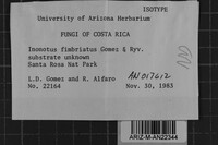 Image Associated With the Occurrence