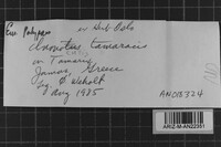 Image Associated With the Occurrence