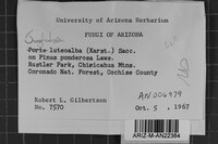 Image Associated With the Occurrence