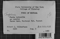 Image Associated With the Occurrence