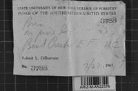 Image Associated With the Occurrence