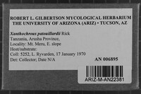 Image Associated With the Occurrence