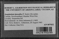 Image Associated With the Occurrence