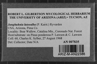 Image Associated With the Occurrence