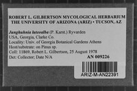 Image Associated With the Occurrence