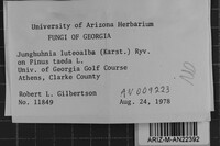 Image Associated With the Occurrence