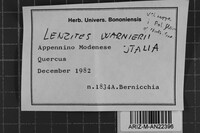 Image Associated With the Occurrence